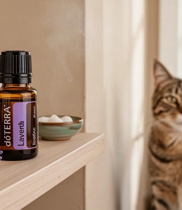 Which doTERRA Oils Are Safe With Cats and Birds