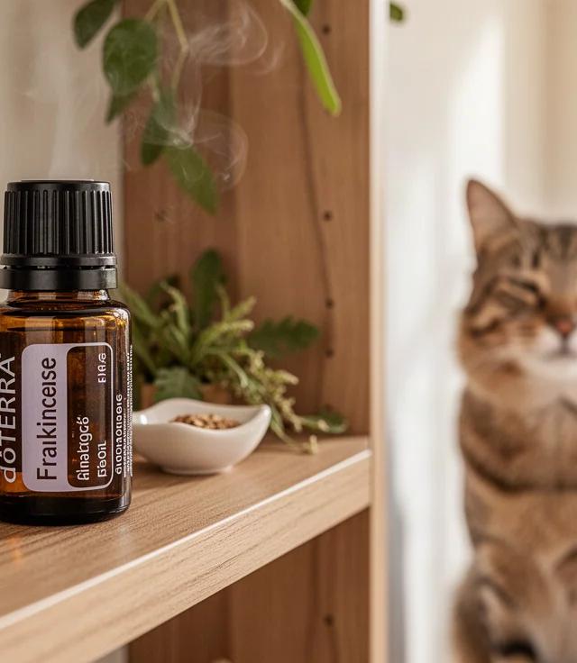 doTERRA Oils to Avoid Around Pet Birds