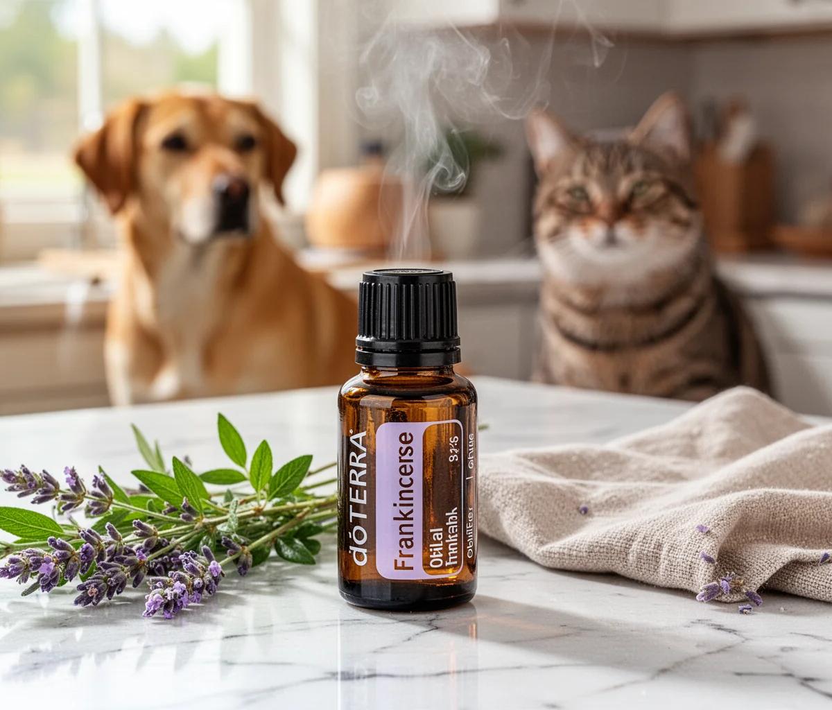 Huiles essentielles toxiques pour chiens et chats