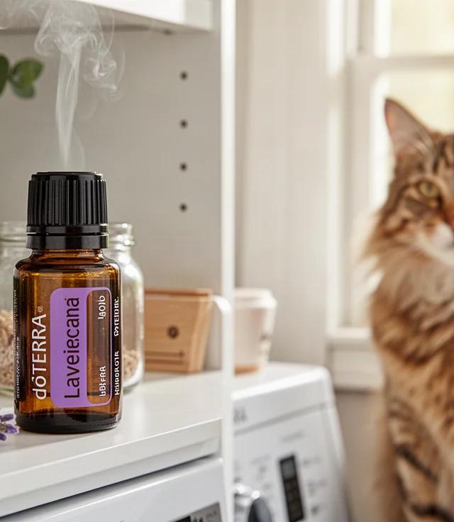 Is Diffusing Essential Oils Safe Around Pets