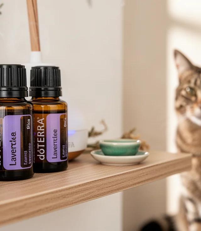 Essential Oils Toxic to Cats vs Safe for Dogs Chart