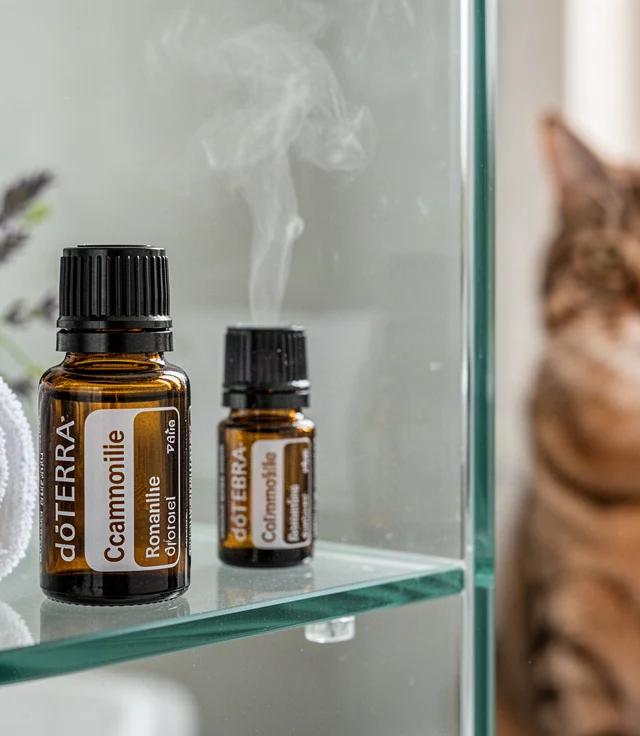 Calming Oil Safe Around Dogs Cats and Birds