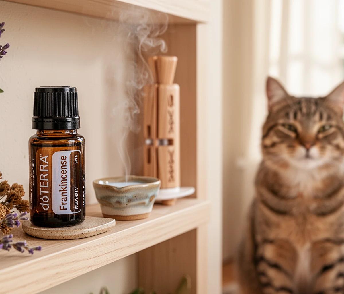 Essential Oils Toxic to Cats What to Avoid