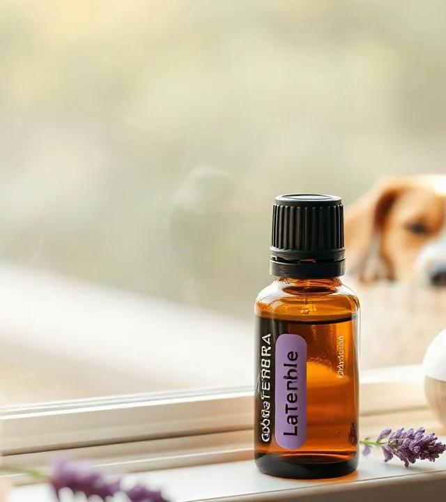 doterra Lavendelöl für Hunde Erfahrungen Bewertung