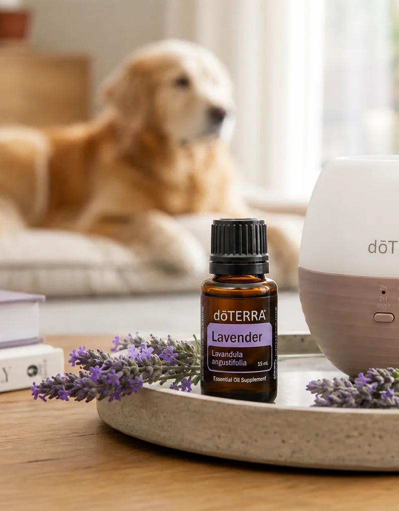 Como Comprar doTERRA para Donos de Animais