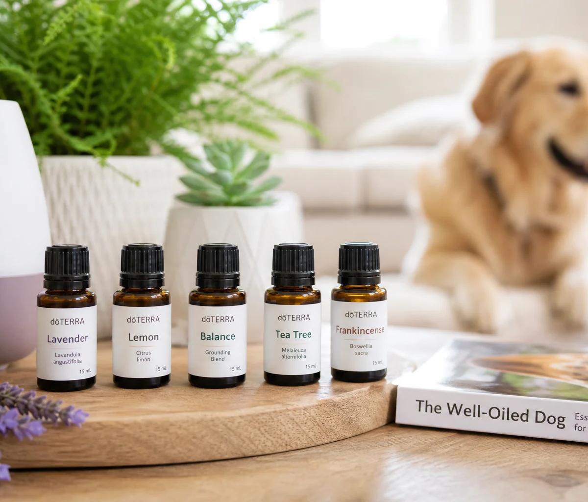 Mejores Aceites doTERRA para Dueños de Perros