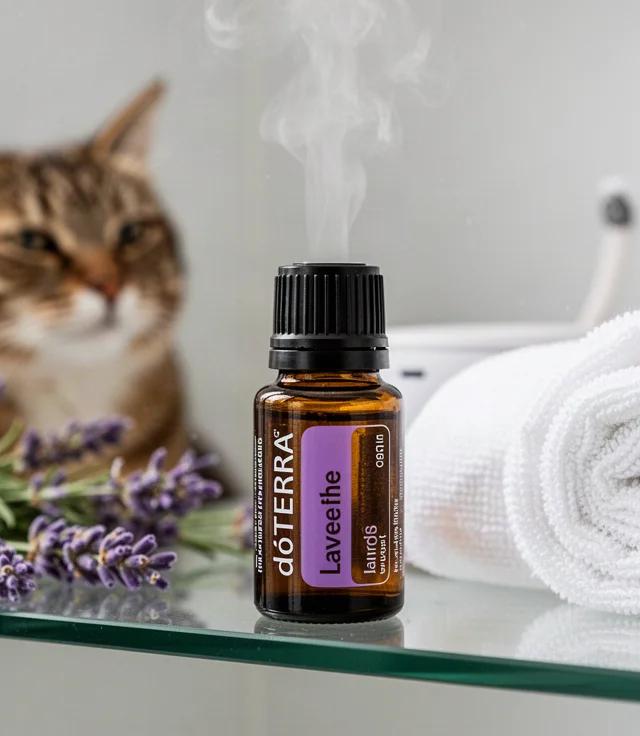 Are doTERRA Oils Safe for Cats Review
