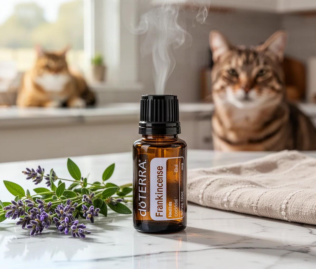 Safe doTERRA Oils for Older Cats with Anxiety