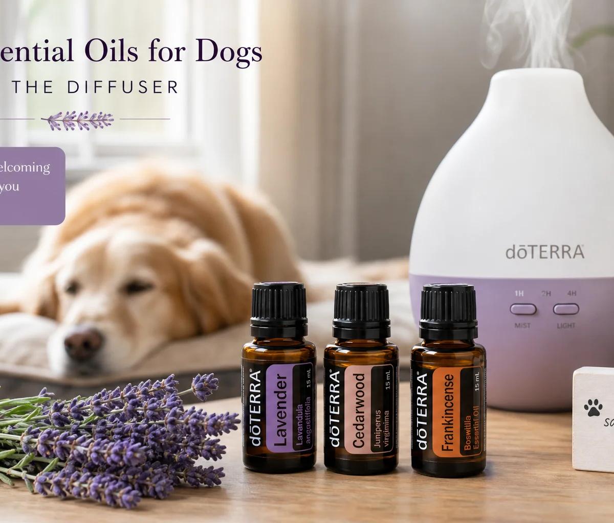Safe Essential Oils for Dogs Diffuser