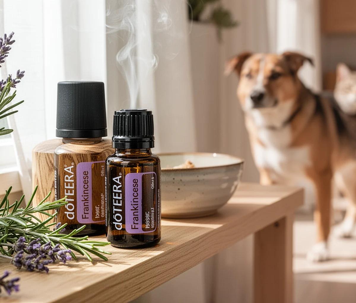 Calming Essential Oils for Dogs Anxiety
