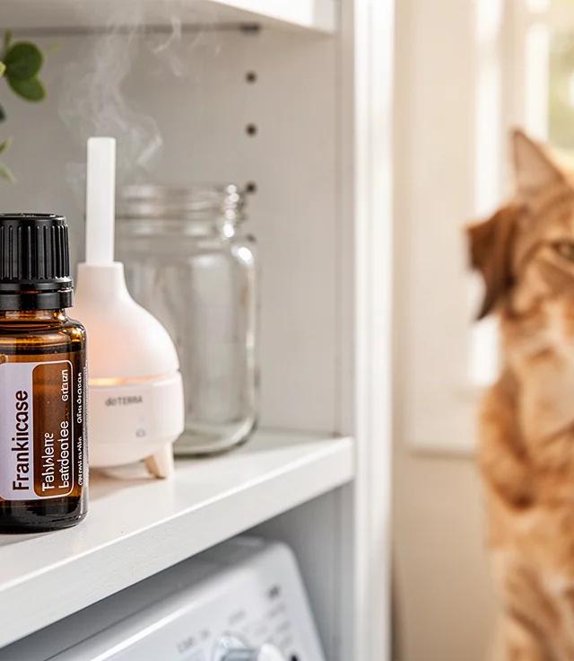 Safe Essential Oil Diffuser for Small Pets Guide