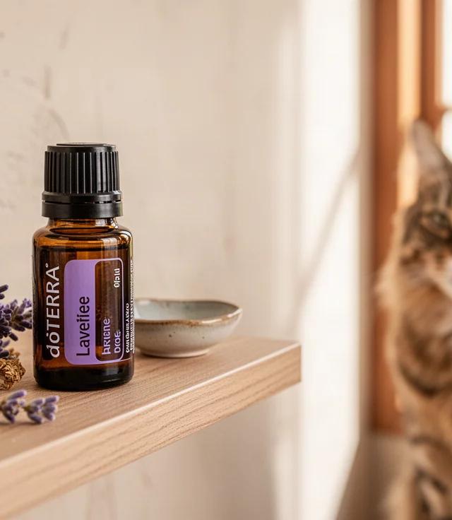 Essential Oils Safe for Dogs vs Cats Difference