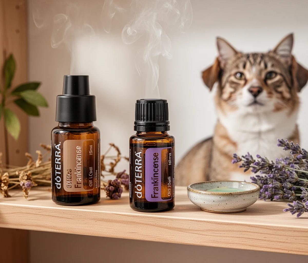 Zijn etherische oliën giftig voor katten