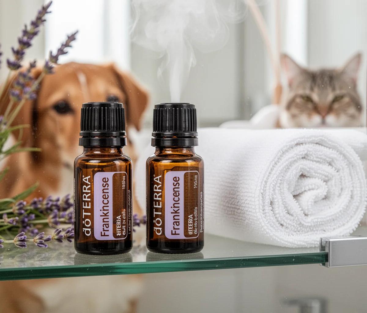 Aceites Esenciales Tóxicos para Gatos y Cómo Evitarlos