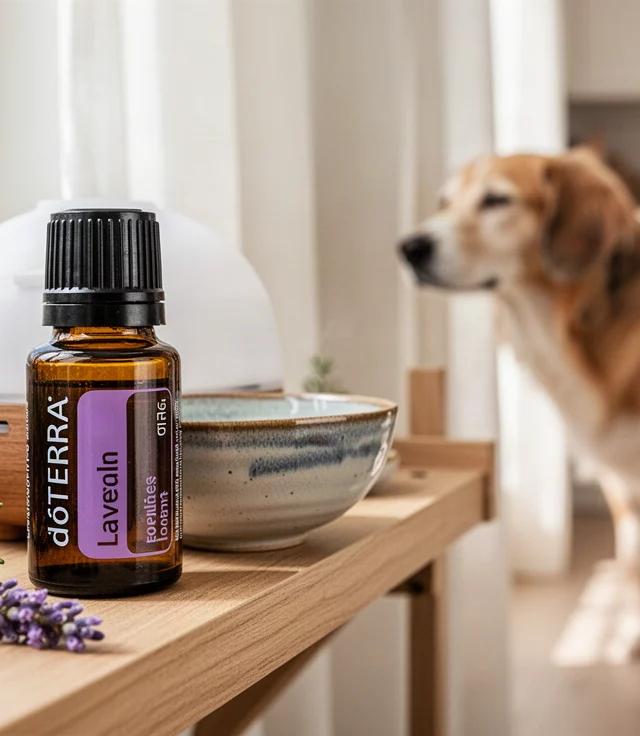 Best doTERRA Oils for Dog Owners