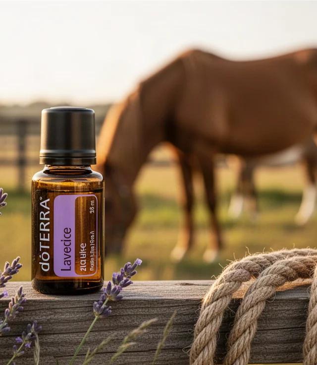 Safely Freshening Horse Blankets With Oils
