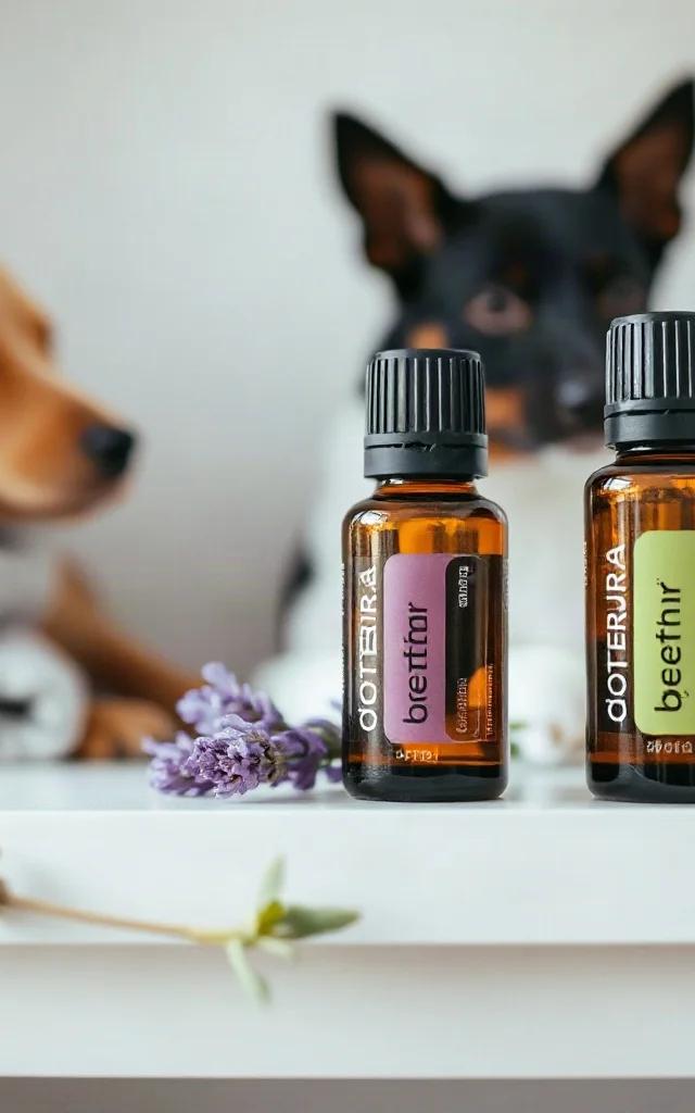 Difusor de óleos essenciais seguro para cães