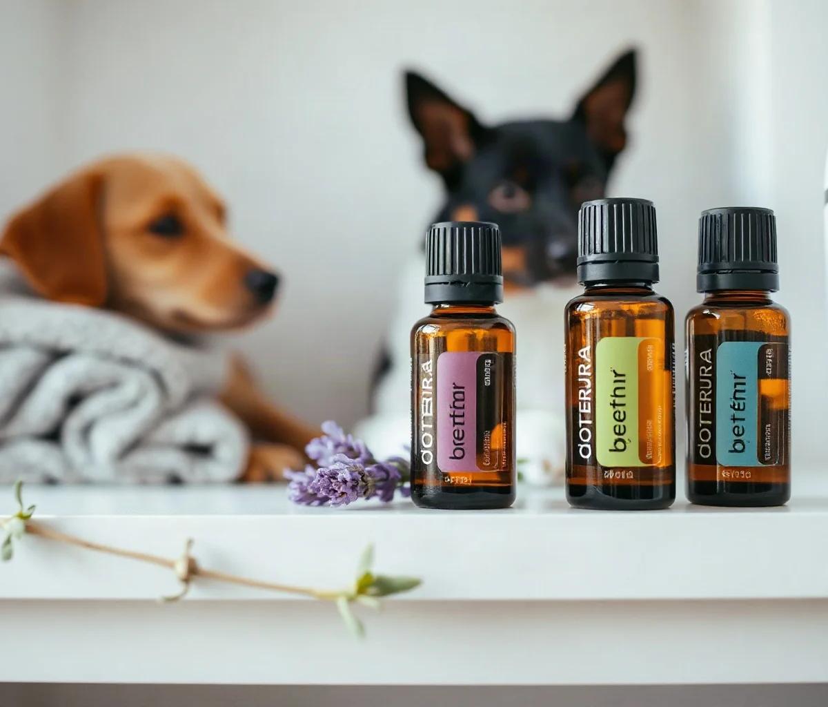 Difusor de óleos essenciais seguro para cães